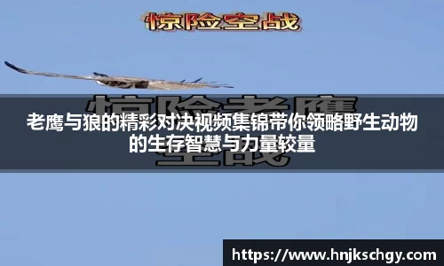 betway必威西汉姆联官网